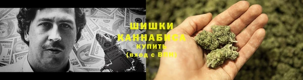 ГАЛЛЮЦИНОГЕННЫЕ ГРИБЫ Магас