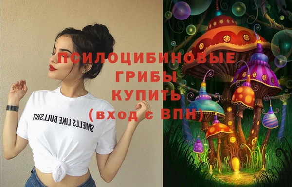 мдпв Магадан