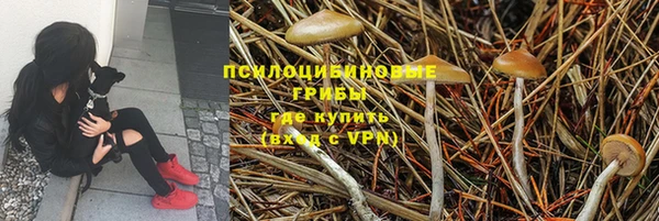 каннабис Медвежьегорск