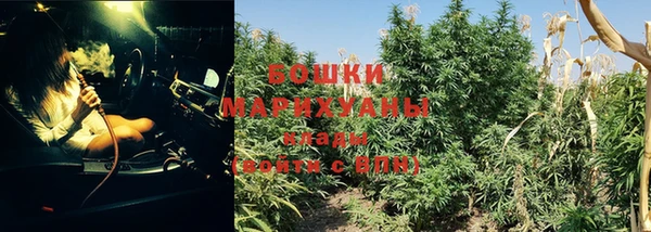 ПСИЛОЦИБИНОВЫЕ ГРИБЫ Медногорск