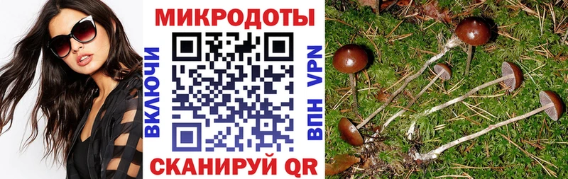 Купить  Томари  Галлюциногенные грибы мицелий 